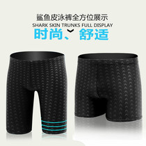 Swimming trunks male professional quick-drying-shark skin tight boxer wu fen ku Spa swimming equipment anti-chlorine da ma ku