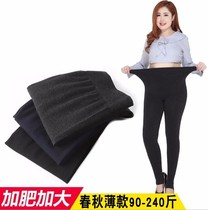 Beat bottom pants ladiesthin spring and autumn season outside wearing big code fat mm200 catty extra high waist to fix up to 90% pants