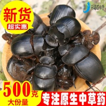 New goods dung beetle Chinese herbal medicine General push dung beetle push dung beetle doll Dung beetle clear water unsalted 500 grams