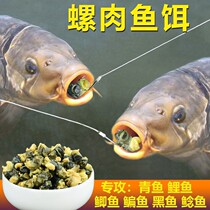 Snail Meat Bait Wild Fishing For Fishing Green Fish Carp Carp Black Fish Bait Black Pit Lake Depot Screw Meat Catfish Granular Food