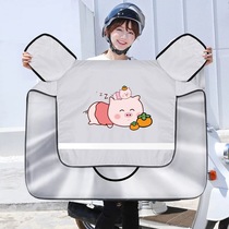 Electric car wind shield by summer Two-sided waterproof Seasons Universal Thin big battery Moto small tramway sunscreen