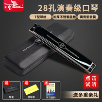 Swan harmonica 28 holes accented polyphony C Wide Range students beginner adult professional performance harmonica