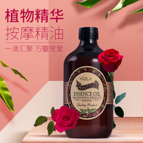Rose Essential Oils Full Body Massage Oil Facial Water Recharge Bright Skin Shoulder Neck meridians Meridian Beauty Institute Open Back Scraping push oil