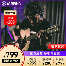 Yamaha Acoustic Guitar F600 Beginner Male and female students Yamaha Acoustic guitar Starter F310