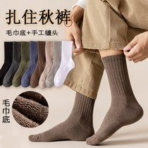 Thick socks mens winter thickening and velvet mid-tube socks tide pure cotton bottom high-top stockings autumn and winter warm towel socks