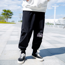 ICONSLAB joint SSUR PLUS Water Ink Fuji Mountain new light core suede bungling pants casual male and female boomer