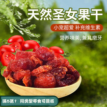 Small pet snack natural dried Saint fruit hamster rabbit ChinChin sweet and sour small tomato supplement 50g
