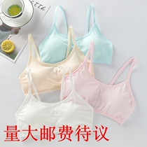 Developmental small vest junior high school students 12-14-16 years old high school girl bra big child girl girl underwear thin