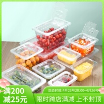 PC acrylic parts pelvic transparent rectangular plastic basin Spicy Hot selection of vegetable pots for display case Vegetable Box with lid