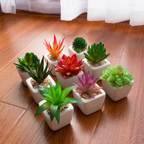 Mini simulation succulent plant potted furnishings room wall cabinet shelf living room desktop green plant decorations small ornaments