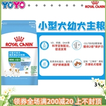 Royal Canin Royal MIS30 Small Dog Milk Cake from Dairy Puppies Dog Food Small Puppies Dairies