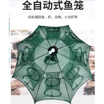 New small number folded shrimp cage fishing cage shrimp baskets nets nets fishing nets fishing nets fishing nets fishing nets fishing nets fishing nets fishing nets fishing nets fishing nets fishing nets fishing nets fishing nets fishing nets fishing nets fishing nets fishing nets fishing