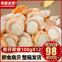  Ready-to-eat canned scallop meat 12 cans of seafood cooked food Ezo shellfish juice abalone juice semi-finished vegetable rice