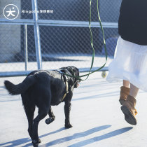 Trainer recommends comfortable chest back RingoGo Italian haqihana pet dog chest back multicolor