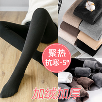 Pregnant women leggings bottomed socks autumn and winter wear plus velvet pantyhose winter winter winter