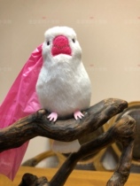 Foreign trade White Bird eco-friendly ten poo bag Capsule ten Toilet Bag Dog Faecal Collection Bag Cashier Bag