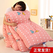  Winter 8 kg 10 kg quilt Winter quilt thickened to keep warm single double student dormitory spring and autumn quilt core quilt