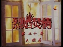 DVD version Blazing Love] Chen Zhicai Chen Liping Zhou Chuming 30 episodes 3 discs