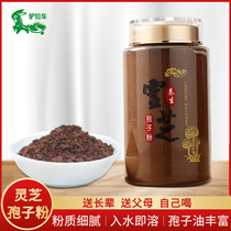 Lingzhi spore powder Changbai Mountain natural spore powder Lucid Lucid powder Bulk Linzhi head Daosporidium powder 500g