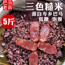 Bama farmhouse three-color brown rice new rice brown rice fitness coarse grain grains 5kg germ rice farmhouse bulk