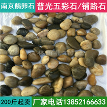 Nanjing polished multicolored rain stone cobblestone stone washing stone Courtyard garden park Garden landscaping paving stone