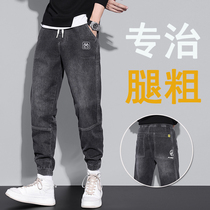 Casual pants mens Spring and Autumn New loose straight tube specializes in thick legs elastic waist Joker sports denim Harlem pants