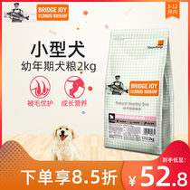 Bireggie Dog Food Club Teddy Bears Bears Bo Meikki Small Dog Universal Baby Dog Food Natural Food 2kg