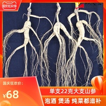 Mountain ginseng 22 grams of northeast Changbai Mountain wild ginseng ginseng belt beard forest ginseng effect strong soup soaking wine material