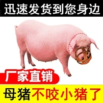 Sow anti-bite set pig mouth piglet artifact pig pig horse cow sheep mouth cover protection mess eating head cover pig cage