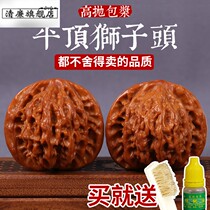 Flat-top lion head Wenwen playing walnut old tree red leather pulp selection niche stuffy pointed white lion unicorn tube cap