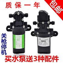 12v electric sprayer pump motor small water pump motor self-absorbing diaphragm pump smart pumping car pump accessories