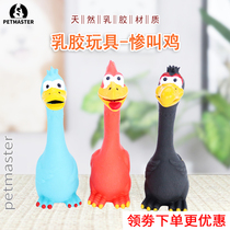 Dog toys Screaming chicken monsters Screaming chicken Teddy Latex sound toys Bite-resistant pet toys Small dog supplies