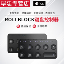 Roli Block Lightpad Touch Live Loop Seaboard keyboard controller