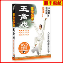 Fitness health Qigong physical fitness five birds play teaching course video DVD disc genuine