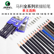 Marley Pencil Painting Painting Tool Single Art Supplies Primary School Kids 2 Ratio Exercise 2b2h68b Drawing Card Stationery Beginner Kit Professional Wholesale 7401