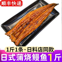 Japanese eel scorpion 500g sushi cuisine sashimi Japanese grilled eel heated ready-to-eat whole commercial wholesale