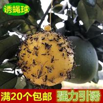 Fly ball trapping ball citrus big fruit fly small fruit fly feeding fly trap fruit tree insect-proof Orange Lantern