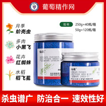 Xianpao little white medicine dinoteamine multi-meat flower rose scale shell worm aphid White whitefly potted plant insecticide