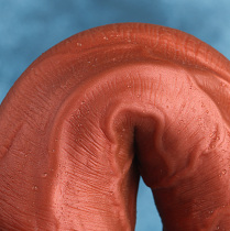 Golden soft dildo female manual masturbator simulation dildo adult toy couple couple sex supplies