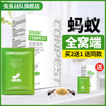 Insect team ant medicine household ant bait to kill red and yellow ants clean artifact indoor insecticide is not non-toxic