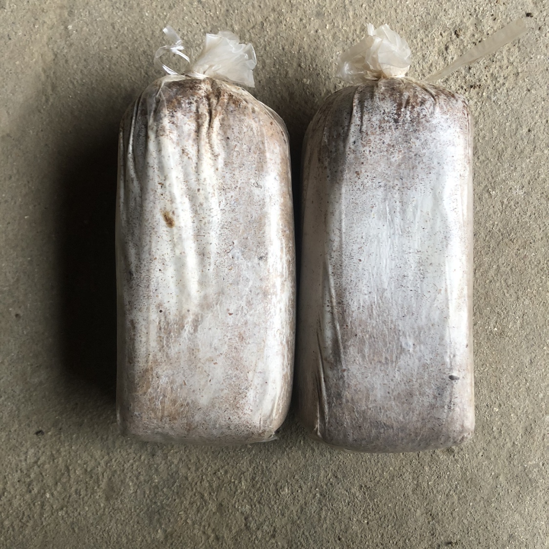 The bacterial species of the pine - fungus species of 27 8 yuan can buy 8 bags of bags of bacteria nationwide