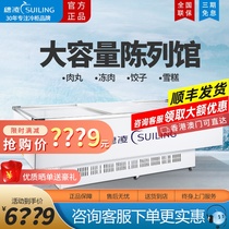 Ear Ling WD4-960 Large Capacity Frozen Preservation Display Cabinet Supermarket Island Cabinet Glass Door Horizontal Fridge Freezer