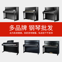 Pearl River piano brand new wholesale Ritter Miller Caesar Fort household vertical Gangqin musical instrument procurement