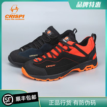 Italian CRISPI shoes All Over GTX Outdoor Sports Travel Waterproof Hiking Mountaineering Shoes