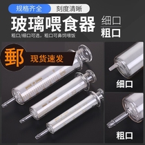 Glass syringe non-human syringe threshing enema large-capacity nasal feeding propulsion tube 100ml