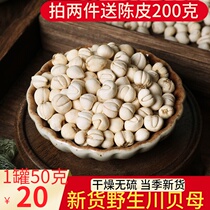 Selected Sichuan Fritillaria 1 can 50g Sichuan shellfish powder special raw Chinese medicine Songbei non 500g