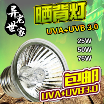 Tortoise Sunback lamp reptile heating lamp full spectrum solar lamp uva uvb3 0 water turtle tortoise box cylinder lamp