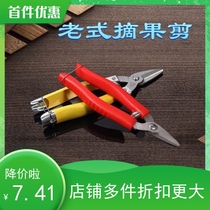 Spring hot sale old-fashioned fruit picking oranges orange grapes pruning and gardening picking durable stainless steel scissors