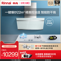 Rinnai JUW11G(W) 2QLGH(S) side smoking machine gas stove oil control warm star kitchen set