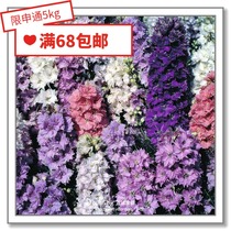 Flower edge Pickles imported flower seeds * Xiaofeiyan bird grass * Dwarf Cannes Fantasy 5-10